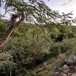 Tropic Valley Lodge