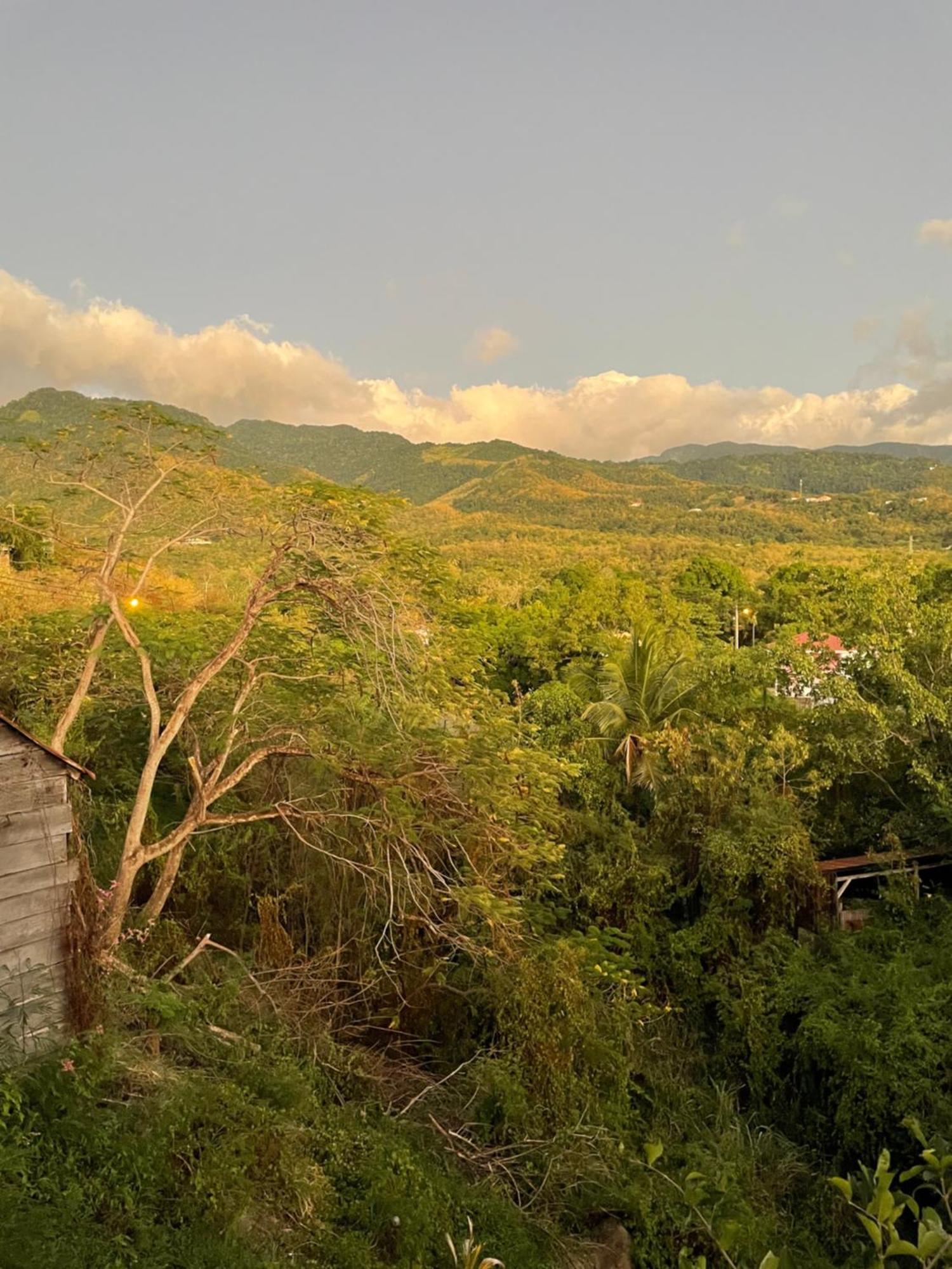Tropic Valley Appartement *